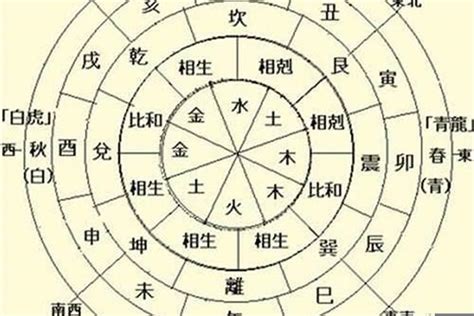 八字天干|【基礎教學】認識天干地支｜13點讓你快速了解天干地